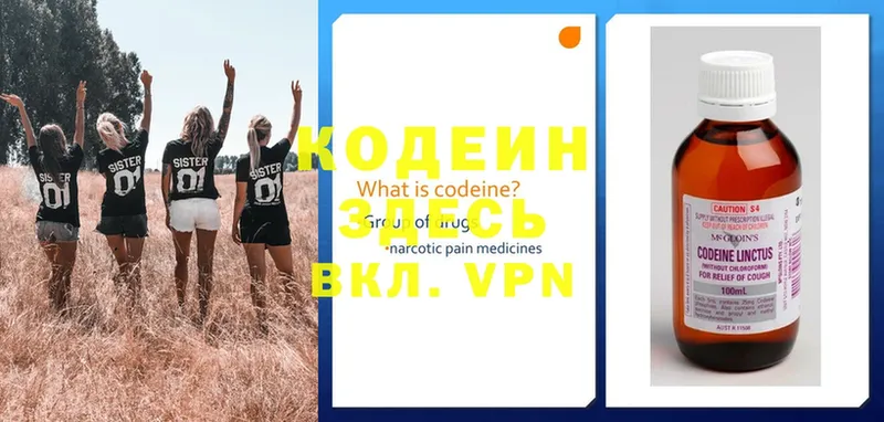 Codein Purple Drank  гидра ТОР  Высоцк  где продают  